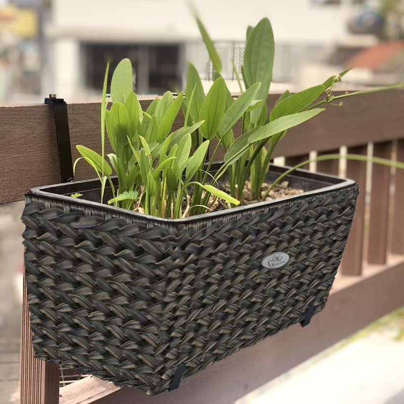 Grapevine Twist Balcony Wicker Hanging Planter & Reviews Wayfair.ca